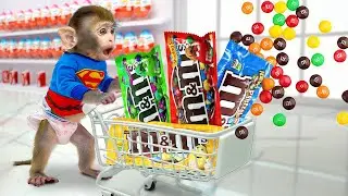 Monkey baby CoCa goes to the supermarket to buy M&M candy