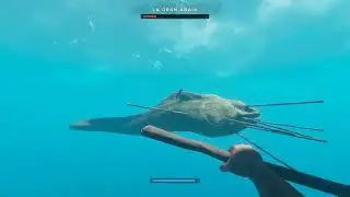 Stranded Deep 2025 Mayo II (10) La Gran Abaia y Lusca La Grande