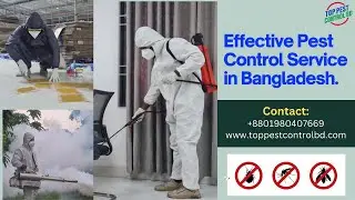 Pest Control Service in Bangladesh, Contact: 01980407669