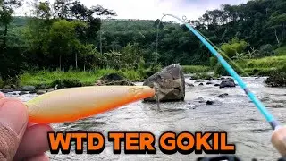 Lure WTD paling cocok buat menganggu predator air tawar @symonFis #castinghampala #mancing #fishing 