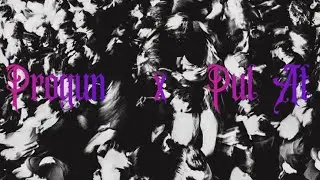 ProGun-Pul At