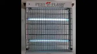 [TYLS] // Pest-O-Flash - Anopheles