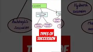 Types of succession