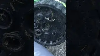 IPM Shorts: Ants in Sprayer Nozzle