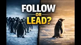 Everyone Followed the Crowd&hellip; Except One Penguin