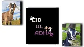 Bakra Eid Mubarak 2021 Whatsapp Status 💕🥰 Eid Ul Azha Mubarak 2021 Status❤Eid Ul Adha Mubarak Status