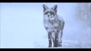 ❄EL RENARDO - 514 ALL GOOD ❄