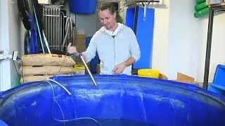 Modern Koi Blog #661 - Die einfachste Notfallh&auml;lterung - so geht's!