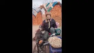 Rural women working