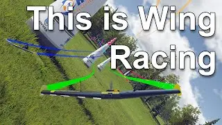 This is Wing racing - Wings Simulator