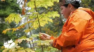 WestJet & ITAC: Talaysay Tours