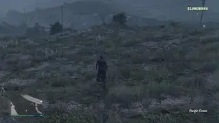 How to do SOLO Duplication car glitch GTA 5 ( any console)