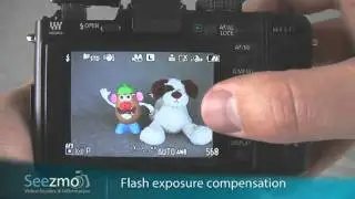 Panasonic GF1: Beach Snow Guide