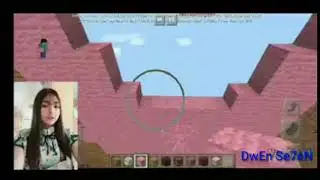 DIXIE DIAZ face in Minecraft