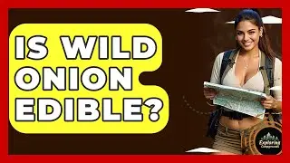 Is Wild Onion Edible? - Exploring Campgrounds