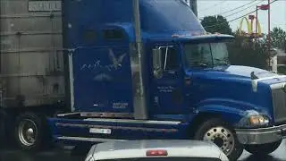 cow truck  bad news