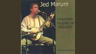 Fighting Tigers of Ireland