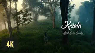 Idukki - Kerala | 4K Cinematic Drone Footage | Dink4n | Relaxing Nature