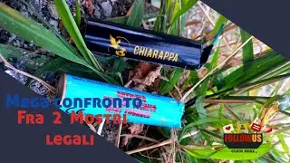 Mega confronto fra due Petardi mostruosi da (1 grammo)