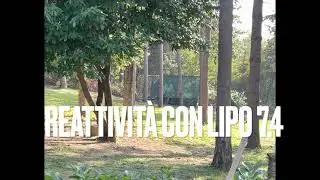 KRISS VECTOR test LIPO 7.4 VS 11.1