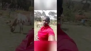 Kurset by Abigael cheptoo ft David chesimet,,,,lyrics