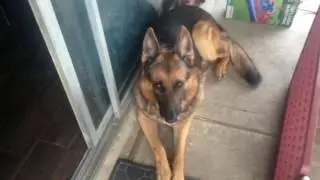 Tao on the Watch!