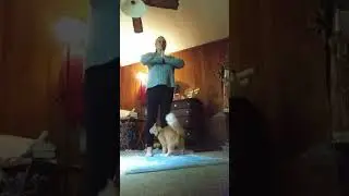 Yoga and guided meditation (with Orange Kitty)