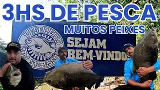 3hs de Pesca com muita a&ccedil;&atilde;o e peixes na Linha #bigfish #fishing #pesca #massa japonesa 