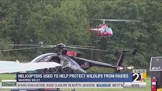 Helicopters used in Mahoning Valley to help protect wildlife from rabies