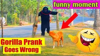fake gorilla vs dog | fake gorilla prank 😆😆