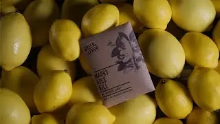 Marry Kiss Kill by Wessel Kort and Green Lemon | OFFICIAL TRAILER
