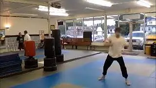 Sash Whip form