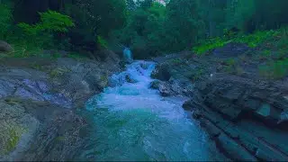 Crystal Clear Mountain Stream with Rippling Water for Serenity & Peaceful Sleep | Soothing Ambience