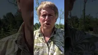 Tip for travel agents that will increase your business #shorts #youtubeshorts