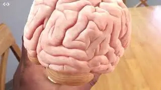 Merge Cube AnatomyVR Demo