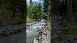 Unseen places in swat 🏔️🌲❤️ #nature #reels #tiktok #travel #villagenature #mountain #viralreels