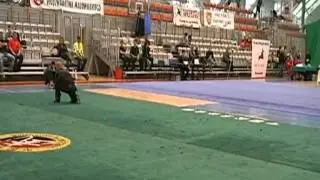 Dominik Jasiński - Wu Tip Kuen MP2011.avi