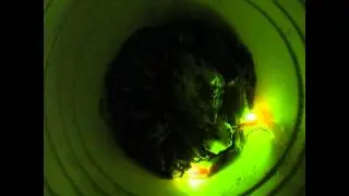Living Lightbulbs Glow Worm timelapse Canon 300HS V11575a
