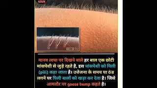 What is goose bumps ll #shorts #knowledgefact #dailyfacts #motivation #lifefacts #goosebumps