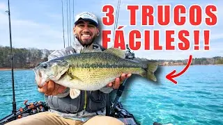 3 Trucos FACILES para Capturar Más Lobinas GRANDES