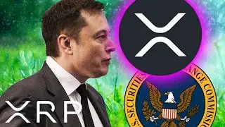 XRP RIPPLE  NEXT MASSIVE SEC DATE REVEALED !!!! ELON MUSK 589 IN 24 HOURS !!!!