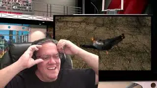 Moron Guards, Courier's Mind: S01 Ep08 Reaction