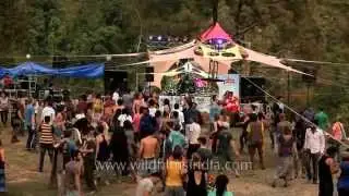 Outdoor electronic music festival at Dharamshala