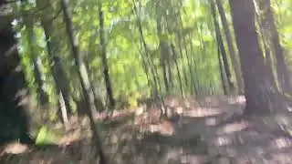 Mountain bike preview of Melvin Family Hiking and Biking Trails, Topinabee, Michigan