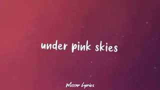LANY - Pink Skies (Lyrics Video)