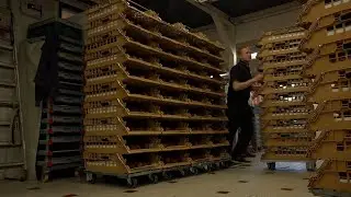 Bij Prenger maken ze 35.000 oliebollen per dag