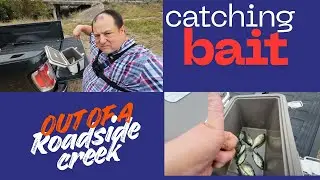 catching catfish bait out of a roadside creek