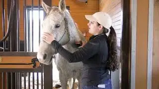 Veterinary Technician (Mikhayla Shepley)