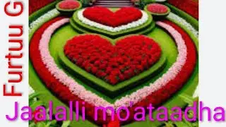 Jaalalli moo'ataadha
