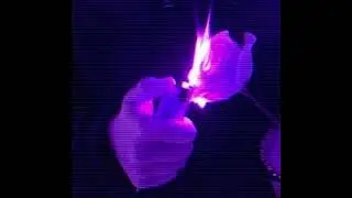 [FREE] Roddy Rich x Jack Harlow Type Beat - &ldquo;PURP FLAME&rdquo; | Prodigy 2x
